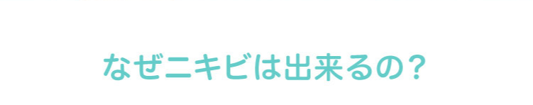なぜニキビは出来るの?